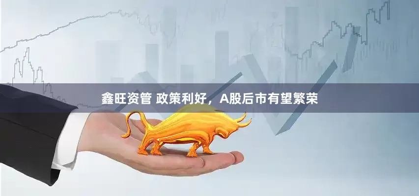 鑫旺资管 政策利好，A股后市有望繁荣
