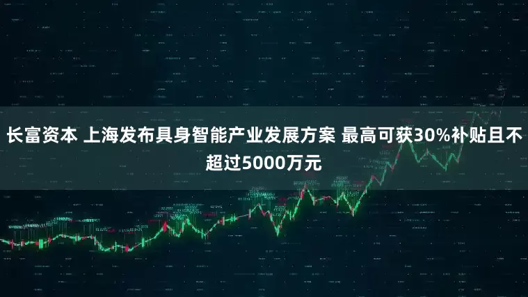 长富资本 上海发布具身智能产业发展方案 最高可获30%补贴且不超过5000万元