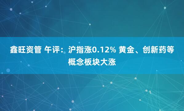 鑫旺资管 午评：沪指涨0.12% 黄金、创新药等概念板块大涨
